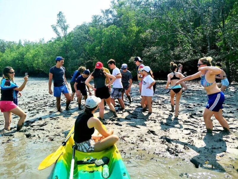 Ko Lanta: Half-Day Mangrove Eco Kayak Experience with Lunch - Key Points