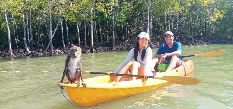 Ko Lanta: Half-Day Mangrove Eco Kayak Experience with Lunch - Final Thoughts: Is It Worth It?