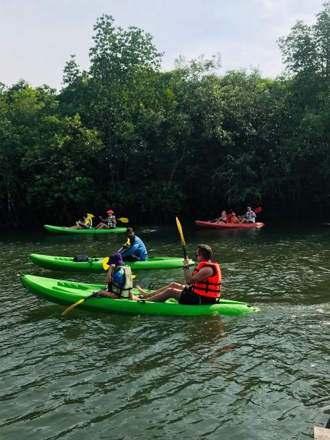 Ko Lanta: Half-Day Mangrove Kayaking Tour with Lunch - Final Thoughts: Who Is This Tour Best For?