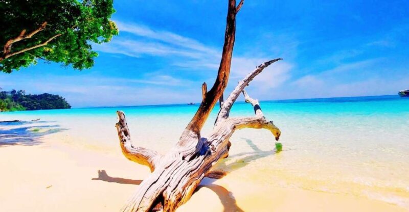 Ko Lanta: Koh Rok & Koh Haa Snorkelling Tour by Speedboat - A Closer Look at the Tour