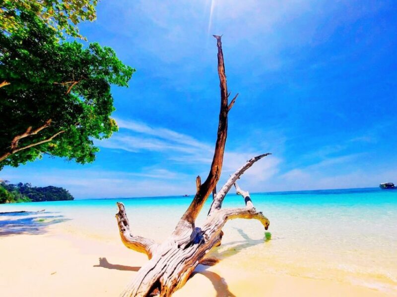 Ko Lanta: Koh Rok & Koh Haa Snorkelling Tour by Speedboat - The Value and Price Point