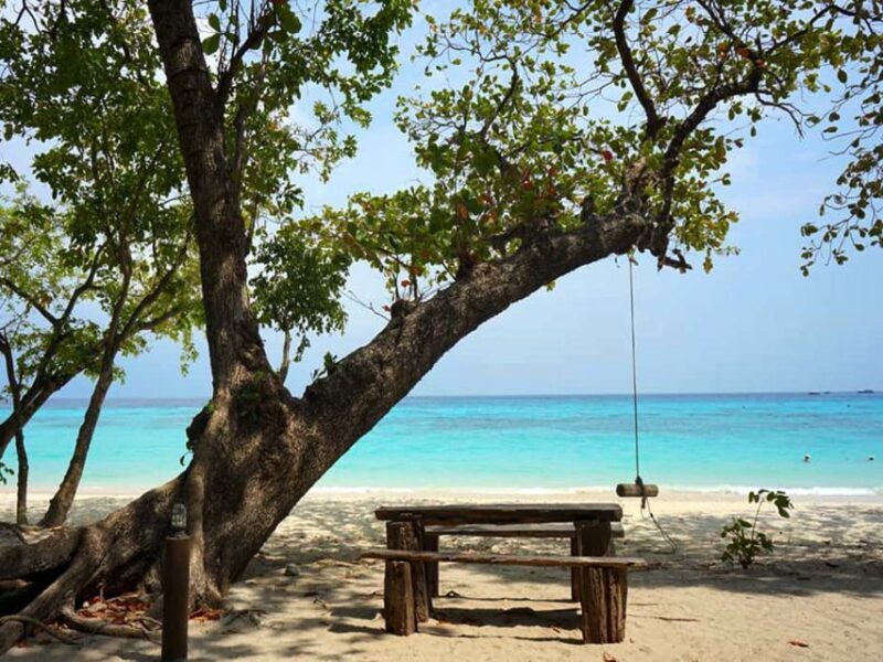 Ko Lanta: Koh Rok & Koh Haa Snorkelling Tour by Speedboat - Who Will Love This Tour?