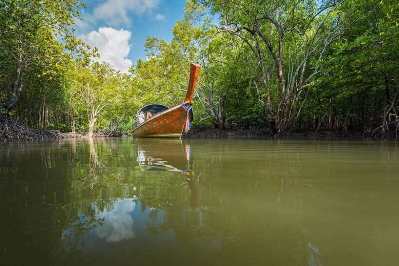 Ko Lanta: Mangrove Forest Boat Tour with Lunch or Dinner - What to Expect: A Detailed Look at the Tour