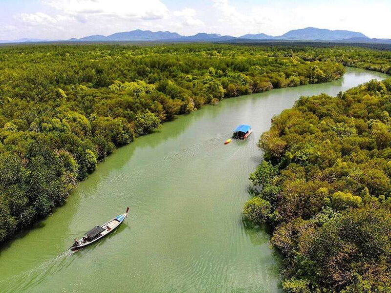Ko Lanta: Mangrove Forest Boat Tour with Lunch or Dinner - Authenticity and Real Traveler Insights