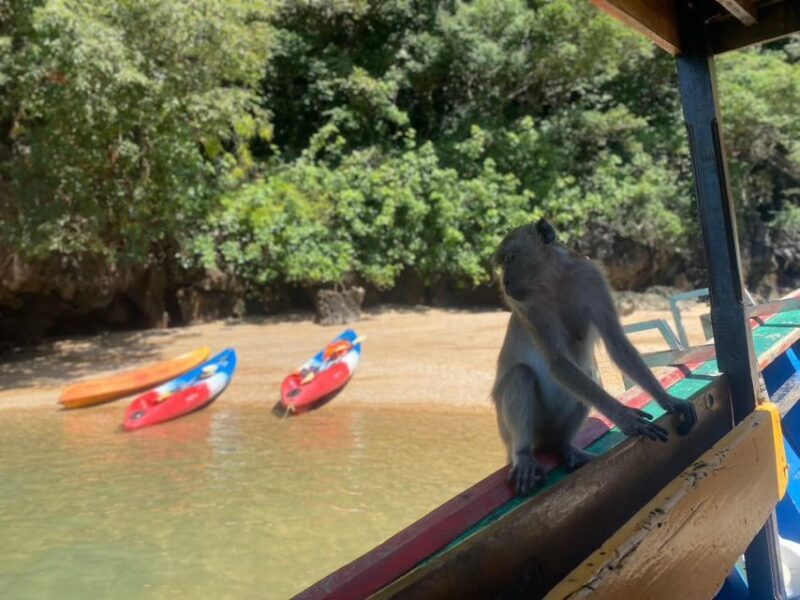Ko Lanta: Mangrove Kayaking, Ko Talabeng, & Skull Island - Introduction