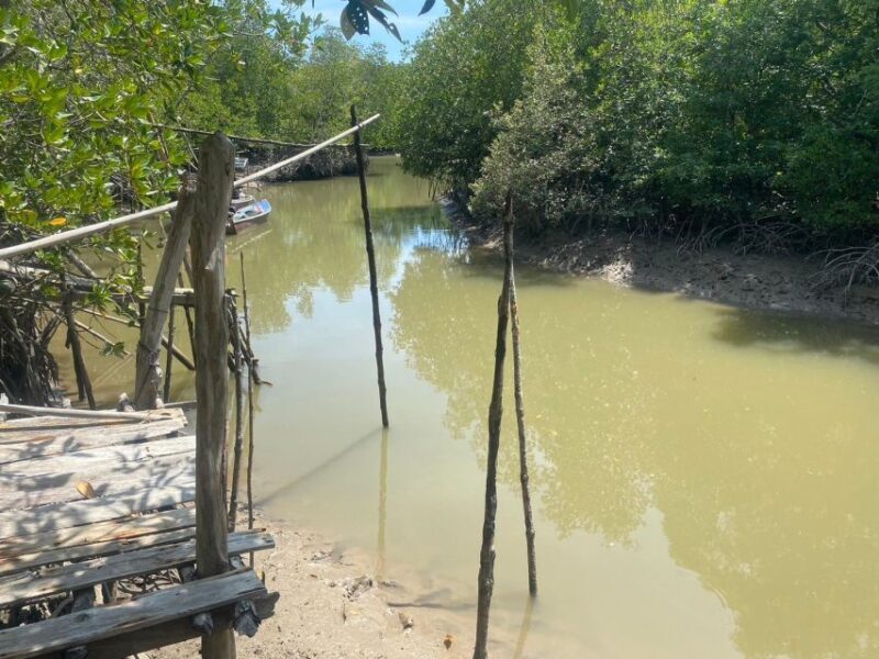 Ko Lanta: Mangrove Kayaking, Ko Talabeng, & Skull Island - Practical Details & Tips