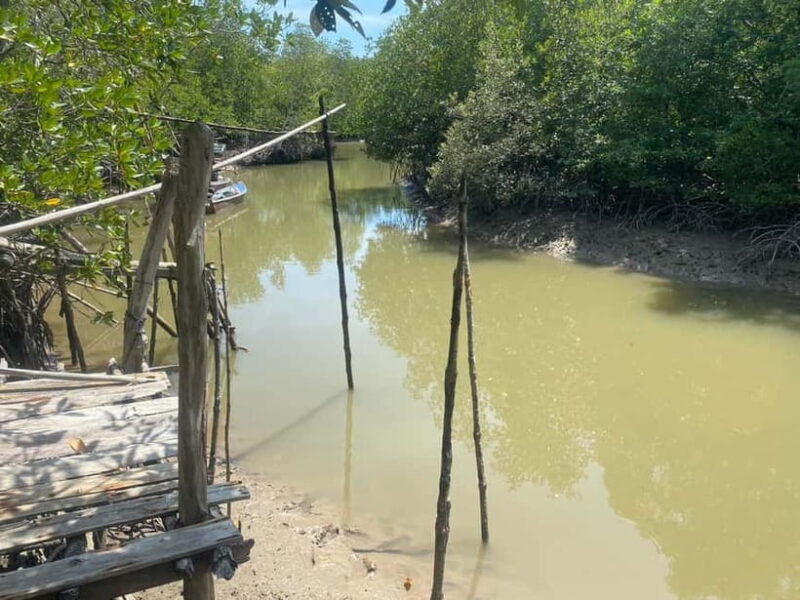 Ko Lanta: Mangrove Kayaking, Ko Talabeng, & Skull Island - Final Words