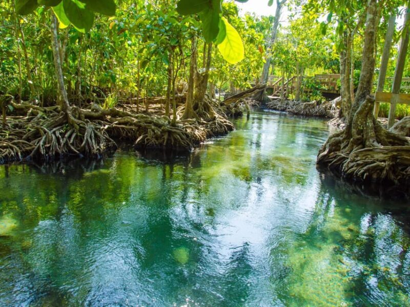 Ko Lanta: Private Exploration Mangroves, Old Town & Beaches - The Sum Up