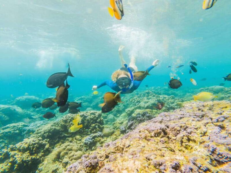 Ko Lanta: Snorkeling Adventure Tour to Koh Rok and Koh Haa - The Sum Up