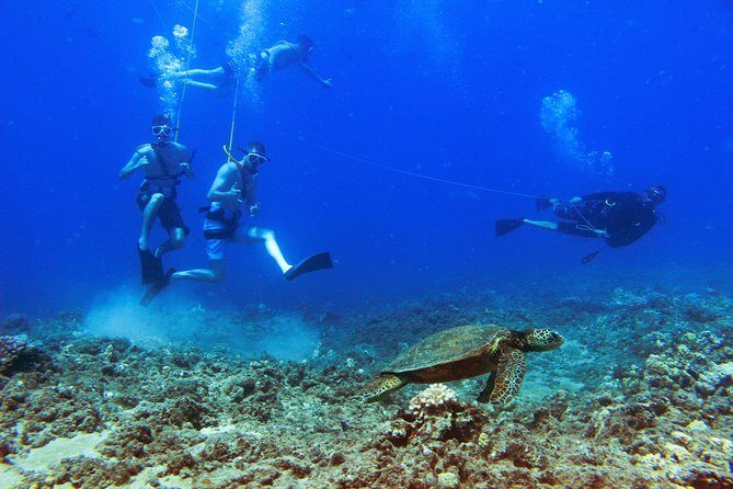 Ko Olina Catamaran Sail and Snorkel - The Sum Up