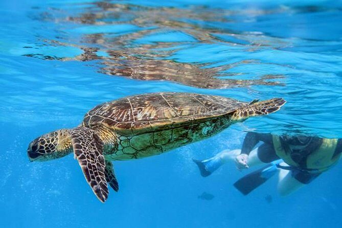 Ko Olina Catamaran Sail and Snorkel - FAQs