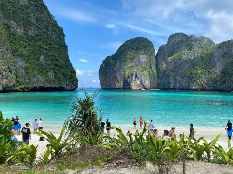 Ko Phi Phi Don: Speedboat Day Trip with Shark Snorkeling - What to Expect: Practical Details