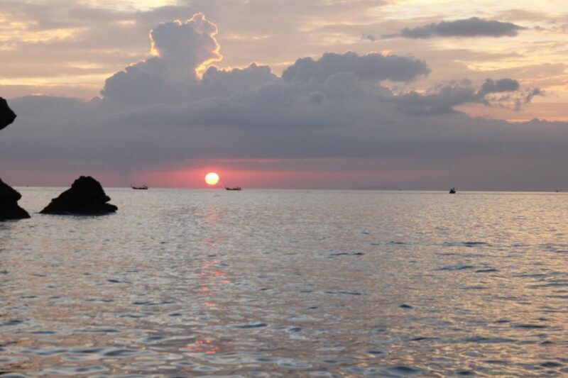 Ko Phi Phi Don: Speedboat Day Trip with Shark Snorkeling - FAQ