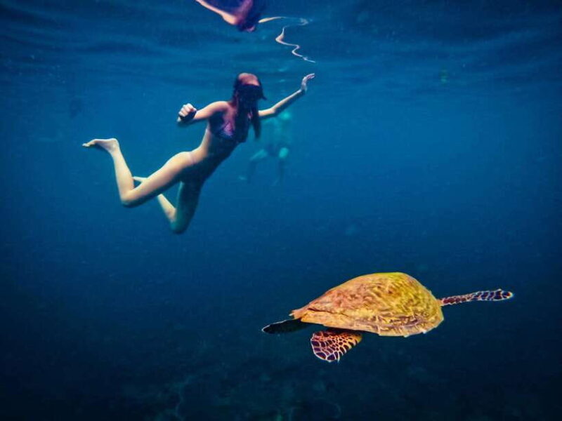 Ko Tao: Late Riser Snorkeling Tour with Lunch and Photos - Authentic Insights from Travelers