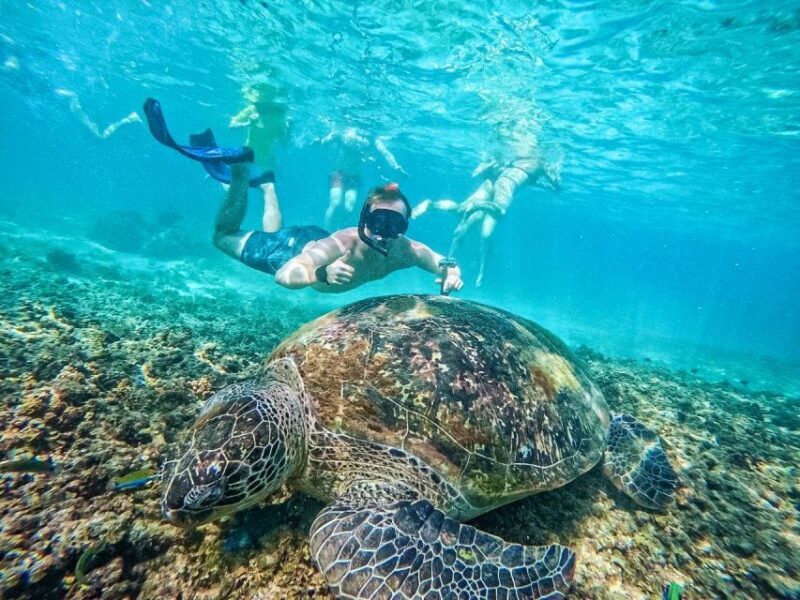 Ko Tao: Tao-Nangyuan Snorkeling Day Trip with Meals & Sunset - Final Thoughts: Is This Tour Worth It?