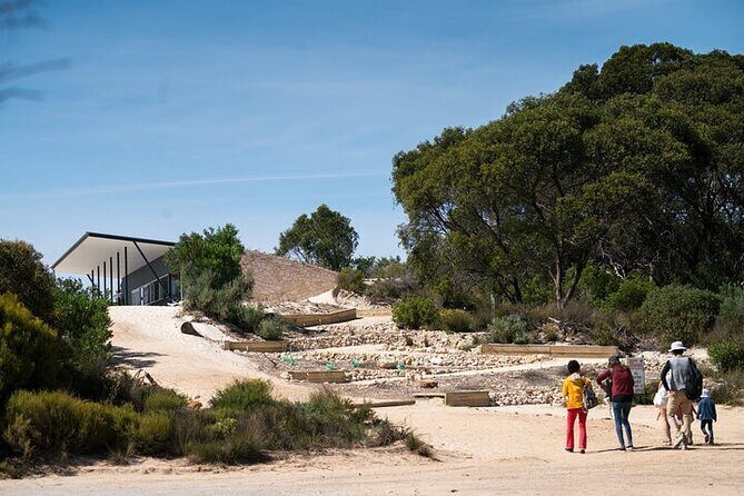 Koala Walking Tour in Kangaroo Island - An In-Depth Look at the Tour Experience