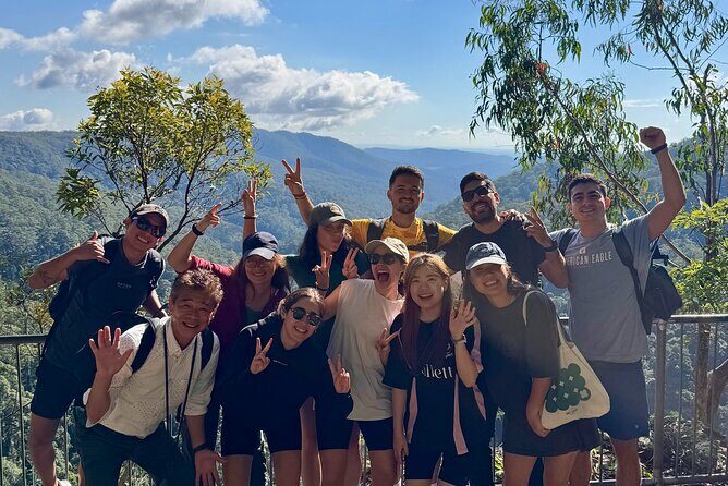 Koalas, 6 Springbrook Waterfalls and Natural Bridge Day Tour - A Deep Dive into the Experience