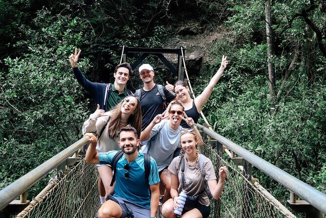 Koalas, 6 Springbrook Waterfalls and Natural Bridge Day Tour - Authentic Feedback from Past Travelers