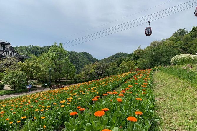Kobe private tour from Osaka (Shore excursion available from Osaka or Kobe port) - What’s Included and What’s Not?