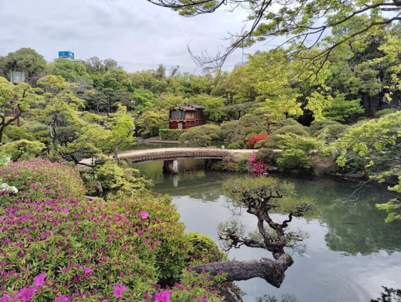 Kobe: Sake Tasting, Shrines, Gardens & Scenic Harbor in 1Day - Practical Tips for Travelers