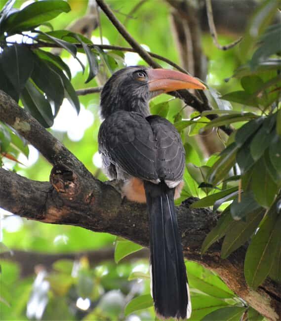 Kochi:- 03 Days Periyar Wildlife With Mararikulam Beach Tour - Authentic Experiences and Reviews
