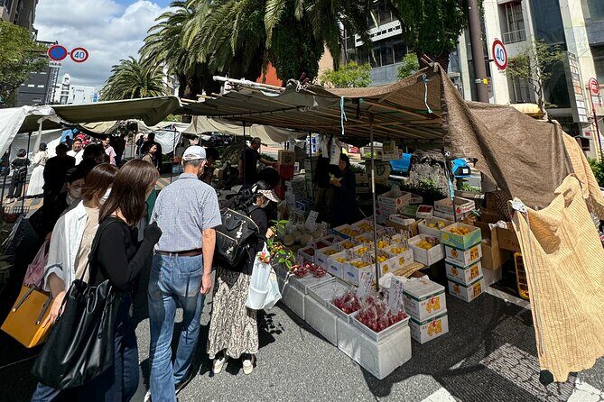 Kochi Castle, Shrine & Hirome Market: Half-Day Guided Tour - The Sum Up