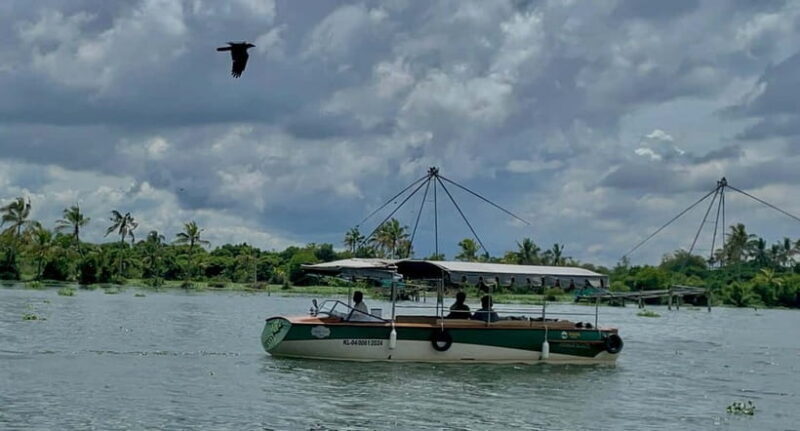 Kochi: Electric Boat Private Tour - An In-Depth Look at the Experience