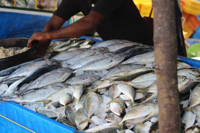 Kochi Fishing Village Excursion. - A Closer Look at the Kochi Fishing Village Excursion