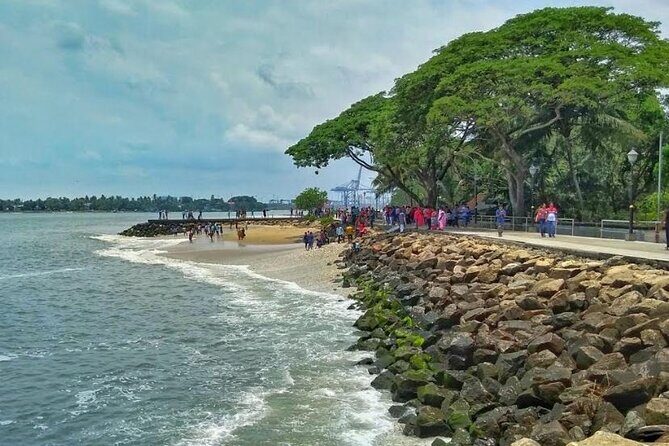 Kochi Heritage walk for culture - Final Thoughts: Who Will Love This Tour?