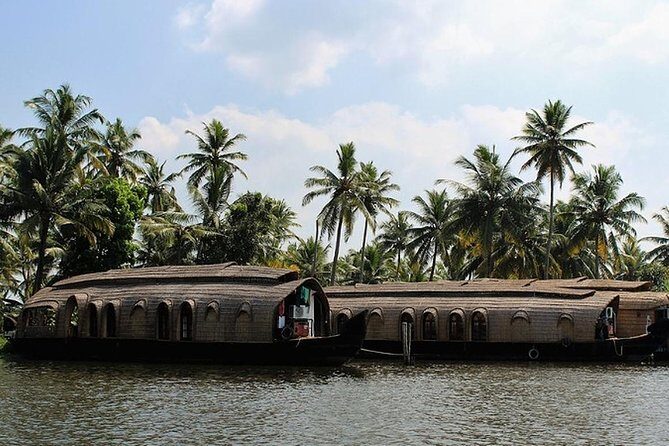 Kochi Private Tour: Kerala Backwater Houseboat Day Cruise in Aleppey - Authenticity and Comfort