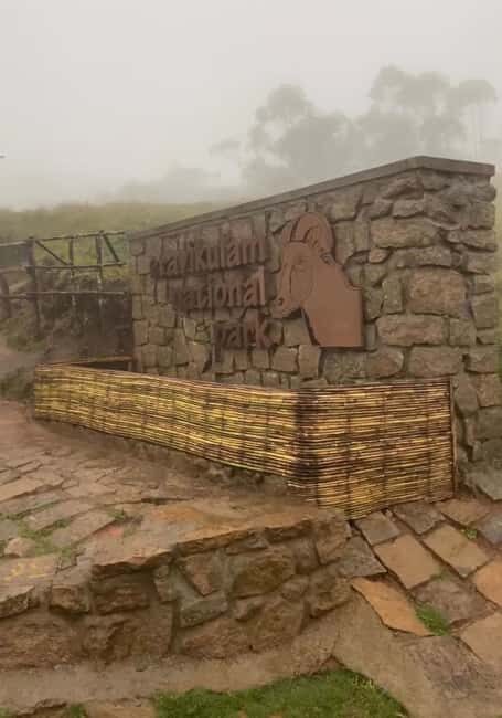 Kochi to Munnar: Eravikulam, Tea Estate and Waterfalls - The Experience in Detail