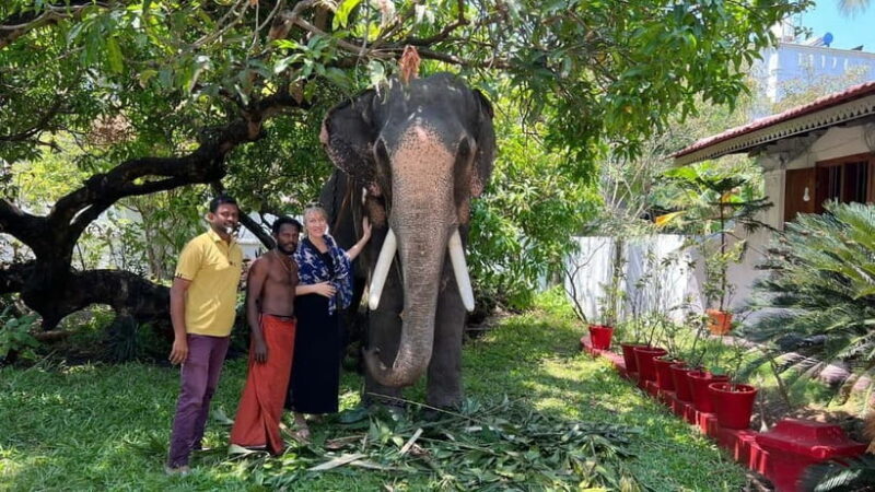 Kochi Tuk-Tuk Tour with Pickup From Cruise Ships - Final Thoughts