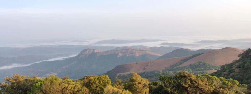 Kodachadri: Summit Trek with forest and cave experience - Discover the Beauty of Kodachadri: A Summit Trek with Forest and Cave Adventures