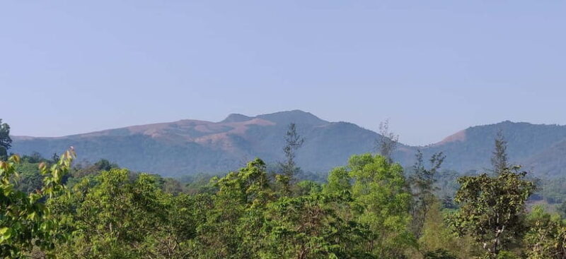 Kodachadri: Summit Trek with forest and cave experience - Key Points