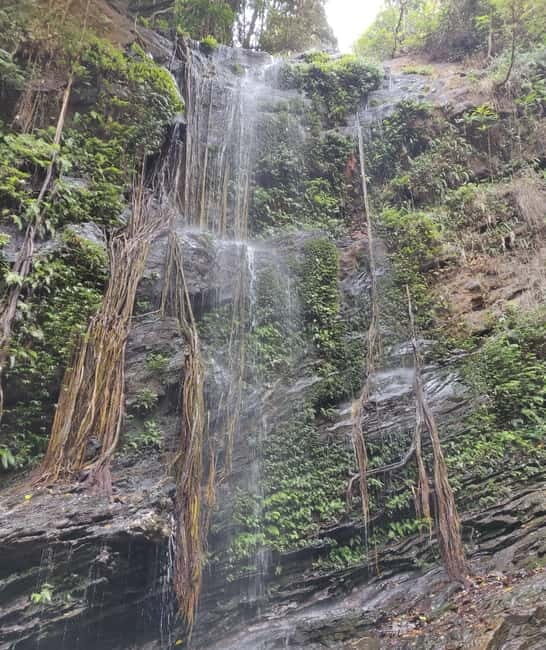 Kodachadri: Summit Trek with forest and cave experience - Who Should Consider This Trek?