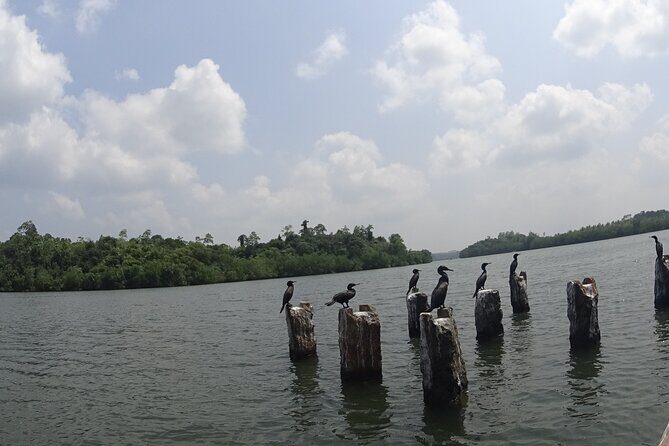 Koggala Lake Tour - Final Thoughts
