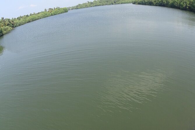 Koggala Lake Tour - FAQ