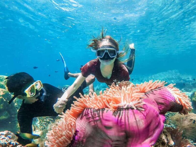 Koh Chang: 3 or 4 Islands Snorkel & Beach Tour by Big Boat - Practical Tips for Making the Most of Your Tour