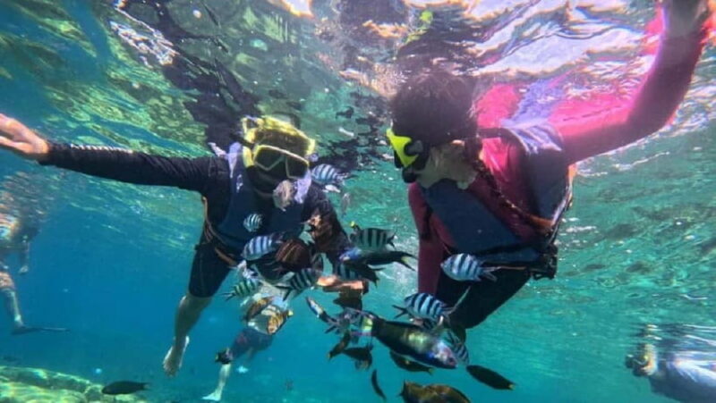 Koh Chang: 5 Island Guided Boat Tour with Lunch Buffet - Final Thoughts: Is It Worth It?