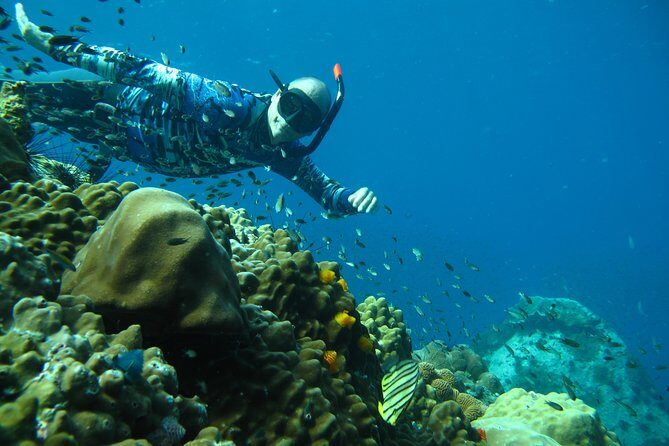 Koh Chang Freedive Trip ( Start at Koh Chang) - The Guides and Safety