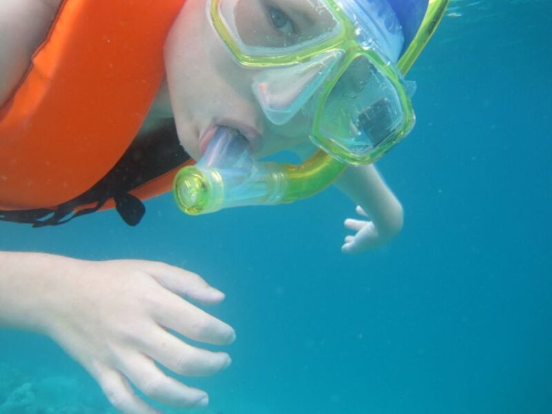 Koh Chang: Half-Day Snorkeling Adventure on a Speedboat - The Sum Up