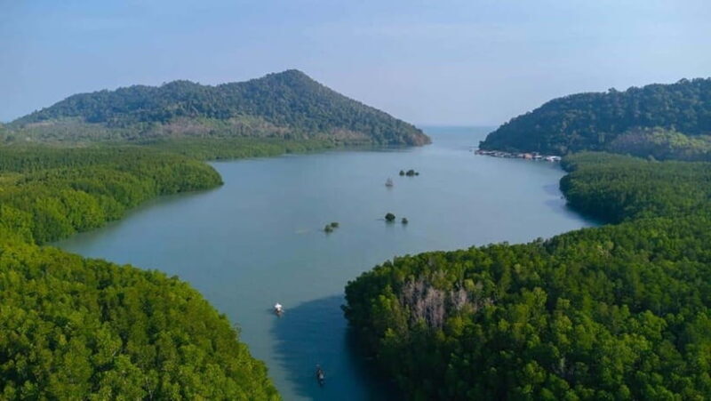 Koh Chang: Mangrove Forest Gondola Tour - Key Points