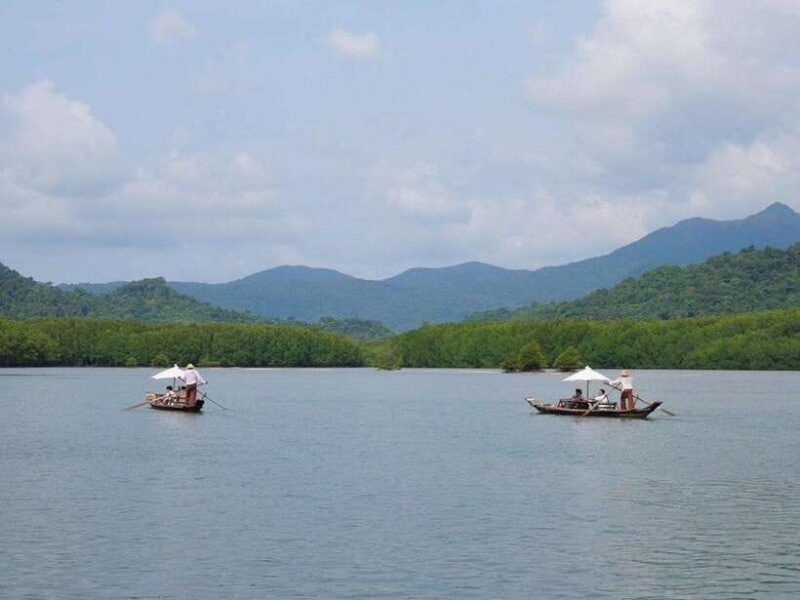 Koh Chang: Mangrove Forest Gondola Tour - Who Will Love This Tour?