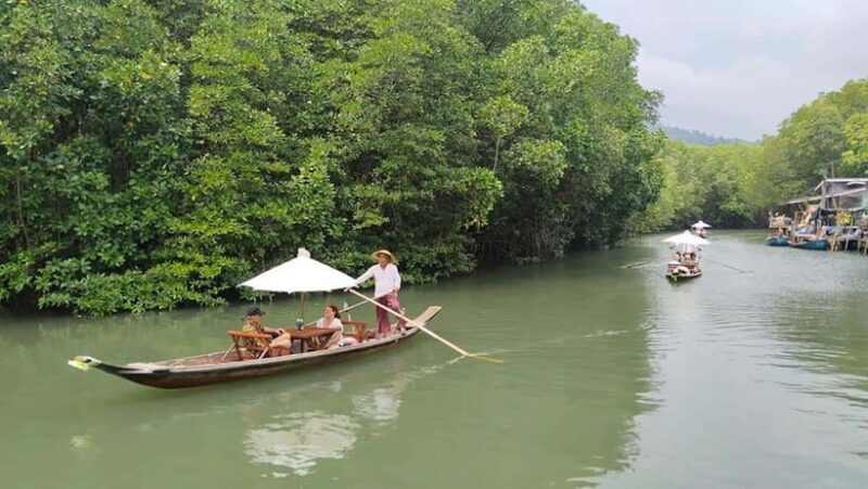Koh Chang: Mangrove Forest Gondola Tour - The Sum Up
