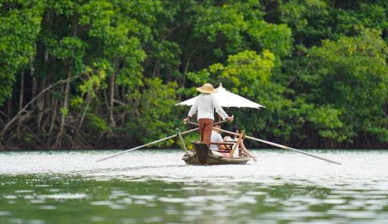 Koh Chang: Mangrove Forest Gondola Tour - FAQs
