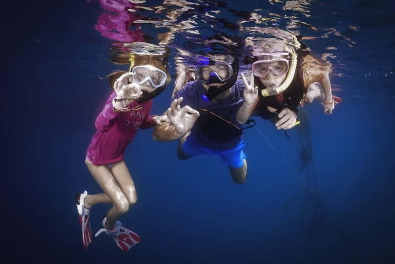 Koh Chang: Snorkeling Trip to Reefs or Wrecks with Lunch - Key Points