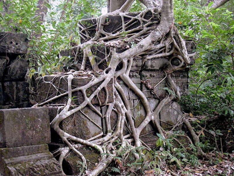 Koh Ker & Beng Mealea Temples Private Tour - Final Thoughts: Is It Worth It?