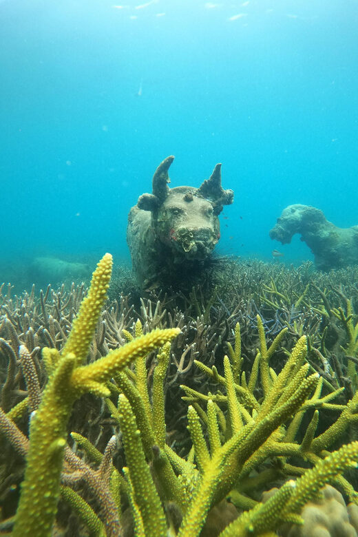 Koh Kood or Koh Rang: Snorkeling trip with lunch & transfer - FAQ