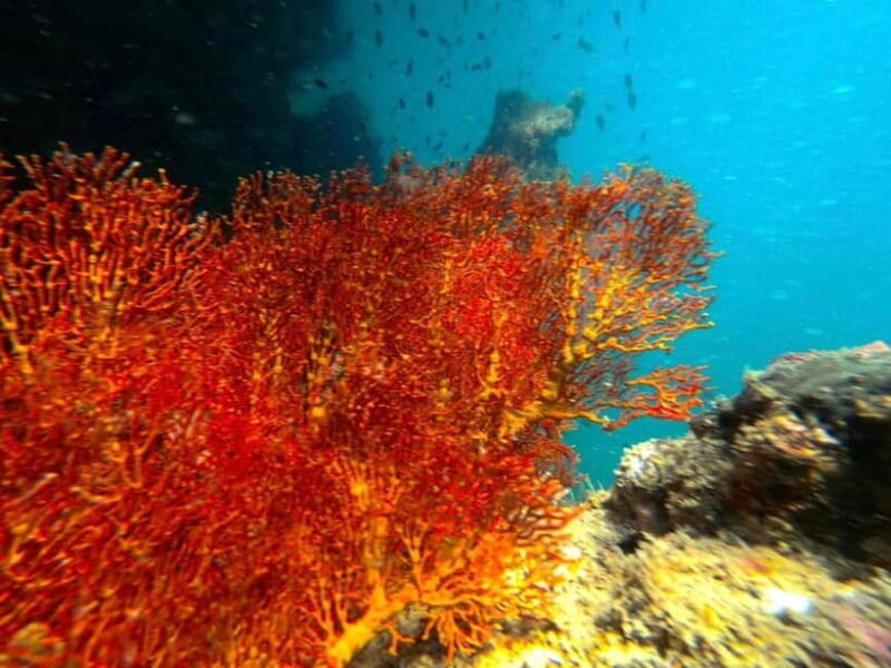 Koh Lanta: 4 Islands and Emerald Cave Snorkeling Trip - Who Should Consider This Tour?