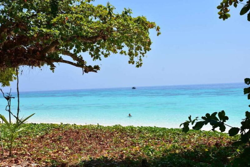 Koh Lanta: Adventure Sea Tour to Koh Rok and Koh Haa - The Journey Begins: Pickup and Transportation